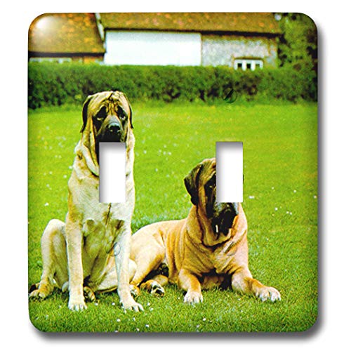 Mastiff interrupteur double bascule pour déco salon 3dRose