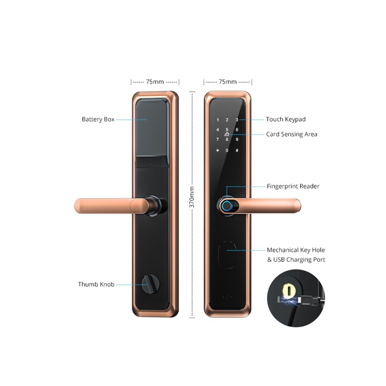 Tuya App WiFi Cerradura Inteligente Impronta digitale Bluetooth Smart Door Lock Anti-Lock Protezione digitale Serratura elettronica per la casa (Colore : Zwart) wisdom