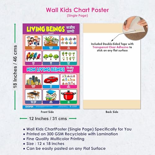 Image of ESCAPER Living Beings Educational Charts for Kids, Charts for Kids Learning (11.5 x 17.5 inches), Kids Study Material, Kids Learning Books, Educational Posters