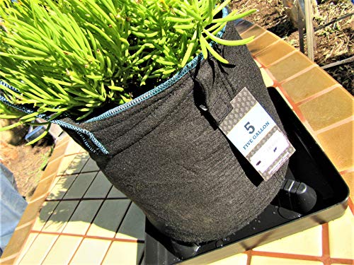 Square Plant Saucer Plastic Plant Trays With Plant Riser Pot Elevator For Indoor Plant Pots And Outdoor Potted Plants Planter Tray Water Drainage Drip Tray 13-Inch By Square Farmer (5-Pack) #TOP6