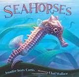 Seahorses