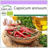 SAFLAX - BIO - Piment - De Cayenne long slim - 10 graines - Capsicum annuum