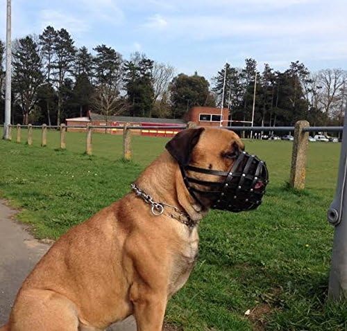 L&J Pets Uk Light leather Dog Muzzle for Dogue de Bordeaux and Bullmastiff and Other (Black Leather, DB1) - Image 3