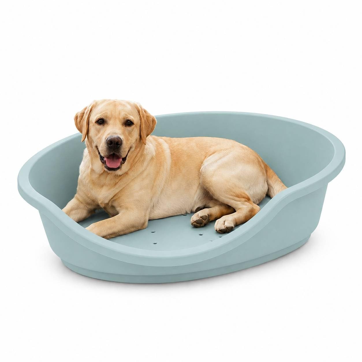 URBNLIVING Hard Plastic Dog & Cat Pet Bed, Heavy Duty Waterproof Oval Basket with Ventilated Base, Anti-Slip Feet, Chew Resistant Washable Pet Bed for Puppies, Dogs & Cats - Light Blue & Large
