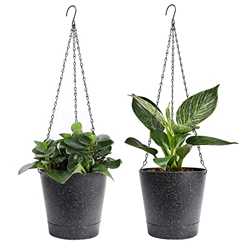 Best Hanging Planter With Saucer For Your Home
