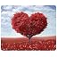 Red Love Tree