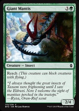 Amazon.com: Magic The Gathering - Giant Mantis (173/274) - Battle