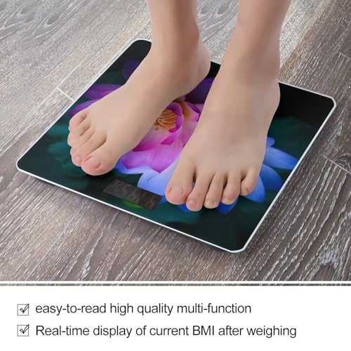 Báscula digital de baño con capacidad 400 lb y pantalla LCD miniatura 5
