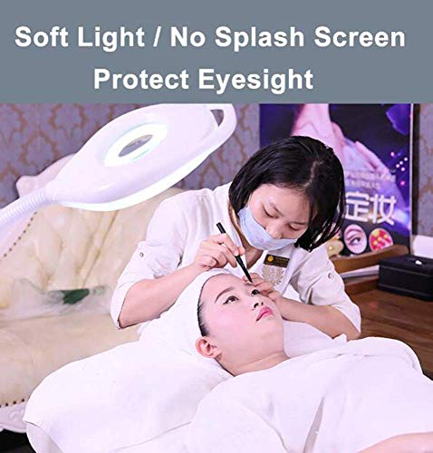 Lupa, lámpara de pie LED con Lupa, Lupa Brillante de luz Diurna, Lente de Aumento de 16X con Soporte, Altura Flexible, Cuello de Cisne Ajustable, luz fría de pie para Lectura (A)