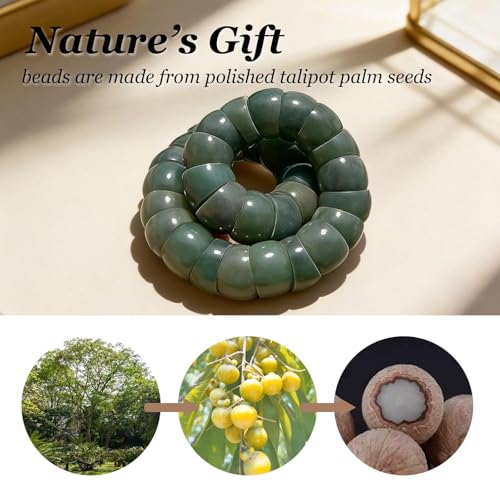 Image of Natural Bodhi Seed Bracelets Anxiety Fidget Bracelets Anxiety Relief Items Protection Healing Stretch Bodhi Fidget Bracelet for Women Men