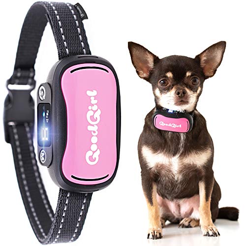 GoodBoy Small Dog Bark Collar for Little, Medium and Large Breeds - Sound Vibration or Shock Modes Control Unwanted Barking - Rechargeable No Bark Training Device - New 2019 Sensor & Chip Upgrade GoodBoy Small Dog Bark Collar for Little, Medium and Large Breeds - Sound Vibration or Shock Modes Control Unwanted Barking - Rechargeable No Bark Training Device - New 2019 Sensor & Chip Upgrade