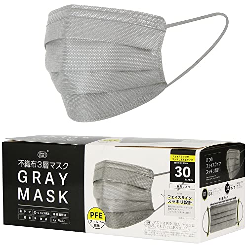 富士工業(FUJI KOGYO) グレーマスク GRAY MASK 30枚入