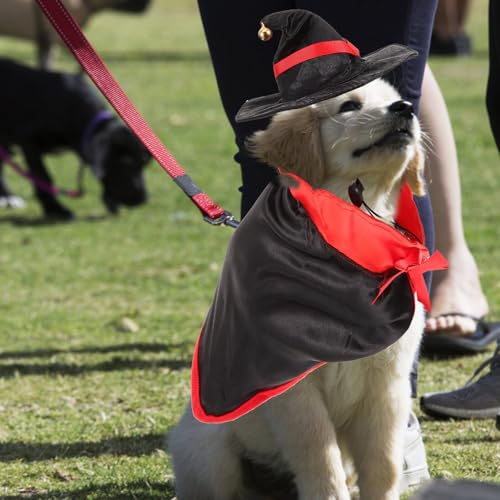 Disfraz Halloween para Perros con Alas de Murciélago y Banda miniatura 3