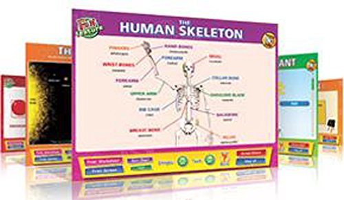 Sg Educación DD sc-i-s57 Daydream ciencia Software, secundaria Site Licence