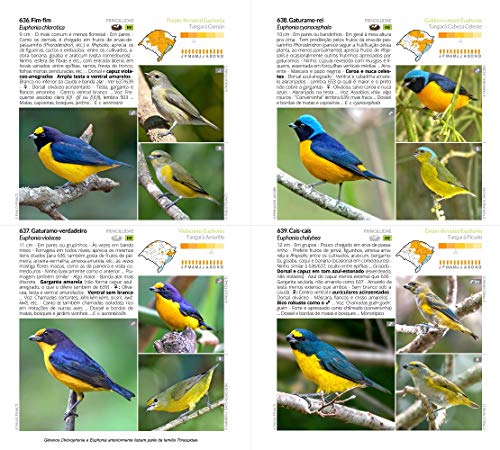 Aves do Rio Grande do Sul: Guia de Identificação - Coleção Aves do Brasil - Lançamento!