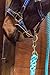 Intrepid International Horse Tack - Heavy Duty Cotton Rope Lead Ropes for Horses, with Durable Brass Trigger Snap, Attaches to Halter or Harness, Soft and Comfortable Grip - Hunter Green, 10 Feet