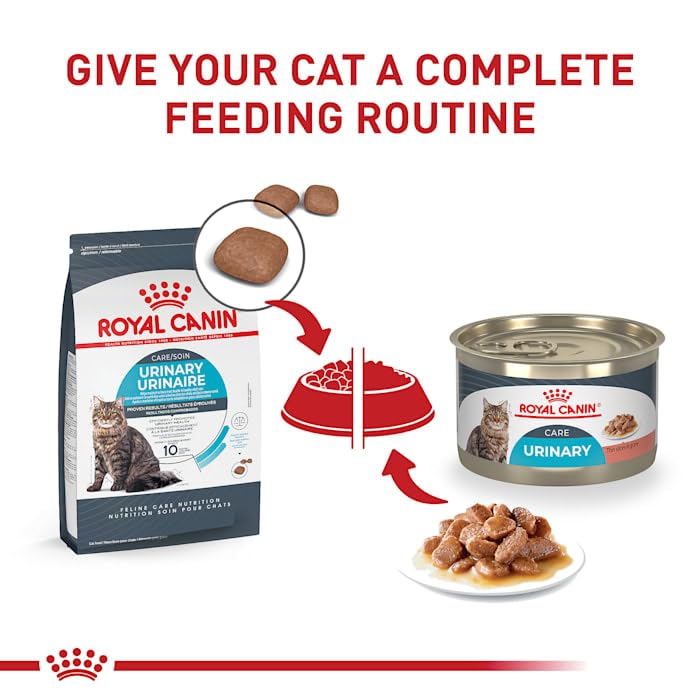 Consejos para Comprar Royal care que Puedes Comprar On-line. 21 Imagen adicional