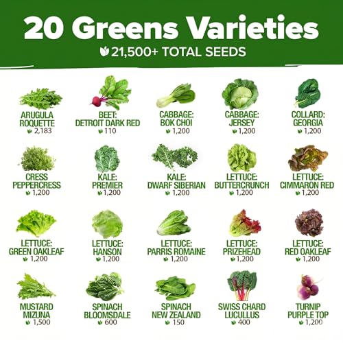 Image of HOME GROWN 20 Variety Lettuce Seeds 21,500+ Bulk Pack Heirloom Non-GMO, High Germination, Romaine,Butterhead, Spinach, Kale, Iceberg, Continuous Harvest,Indoor Outdoor Hydroponic Garden