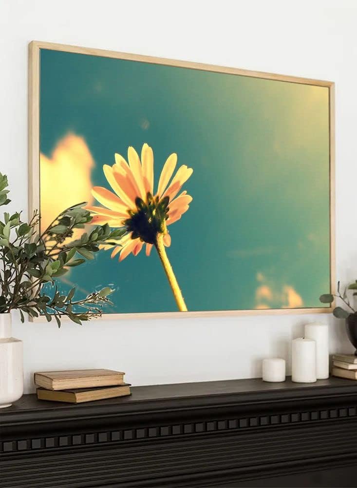 XtremeSkins Floater Framed Canvas - Wall Decor for Living Room, Bedroom, Office, Hotels, Drawing Room (22in X 14in) - sunflow