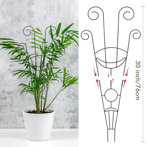 Image of ZOUTOG Trellis for Climbing Plants Indoor 4 Pack 30 Inch,Rustproof Metal Garden Trellis for Potted Plants,Sturdy Houseplant Support Indoor Outdoor for Ivy Pothos Monstera Hoya Flower Vine (Black Moon)