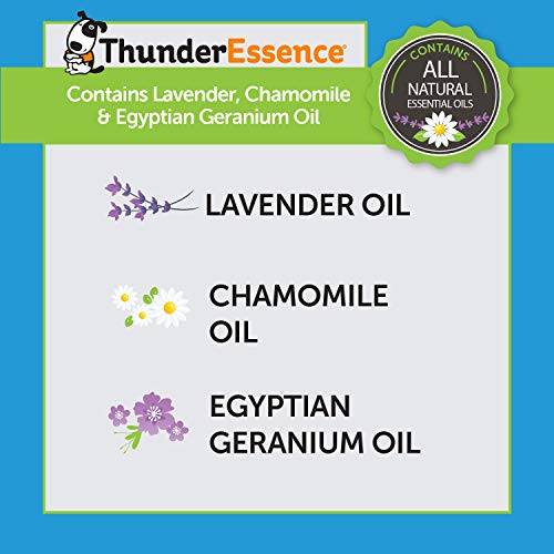 Image of ThunderEssence Dog Calming Essential Oils | All-Natural Lavender, Chamomile and Egyptian Geranium | Vet Recommended |4 FL OZ. Spray