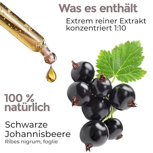 Black Currant in Tropfen 100 ml | Schwarze Johannisbeere | Blackcurrant | Ribes Nigrum | Entwässernd und harntreibend | Glycerinmazerat | Extrakt 1:10 Flüssigkeit J.Armor Urtinktur-Ergänzung