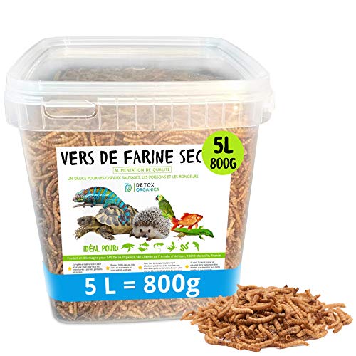vers de Farine Séchés - 800g = 5L - Nourriture pour Poissons, Oiseaux, Tortues, Hérissons, Rongeurs et Reptiles Cover