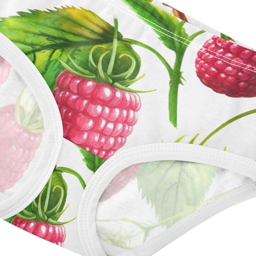 Toddler Underwear Floral 2t Cotton Little Girl Panties Pattern Briefs Underpants Red Raspberry Fruits Green White4