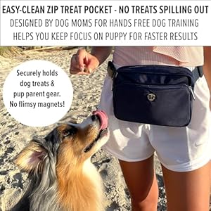 Dog treat pouch for pet training  zippered pockets  color match poop bag dispenser  crossbody  fanny pack belt bag  dog walking bag   cucciolini doodles