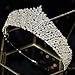 Modeldress Sparkling Cubic Zirconia Wedding Tiaras and Crowns Bridal Prom Quinceanera Sweet 16 Headpiece Hair Jewelry Accessories HG0113 (Gold)