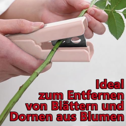 MIETONG Rosen Dornen Entferner Werkzeug zum Entfernen von Rosendornen Blumenwerkzeuge Werkzeuge zur Gratentfernung für Garten Floristen Gartenarbeit Blumenarrangements（Rosa）