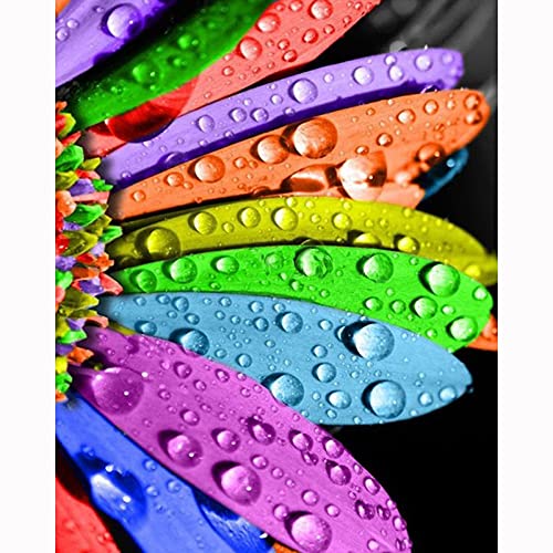 Broderie Diamant 5D de Plumes Colorées : Le Cadeau Créatif Idéal 40x80cm