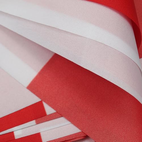 Image of AZ FLAG Poland 6 meters BUNTING Flag 20 flags 9'' x 6'' - Polish STRING flags 15 x 21 cm