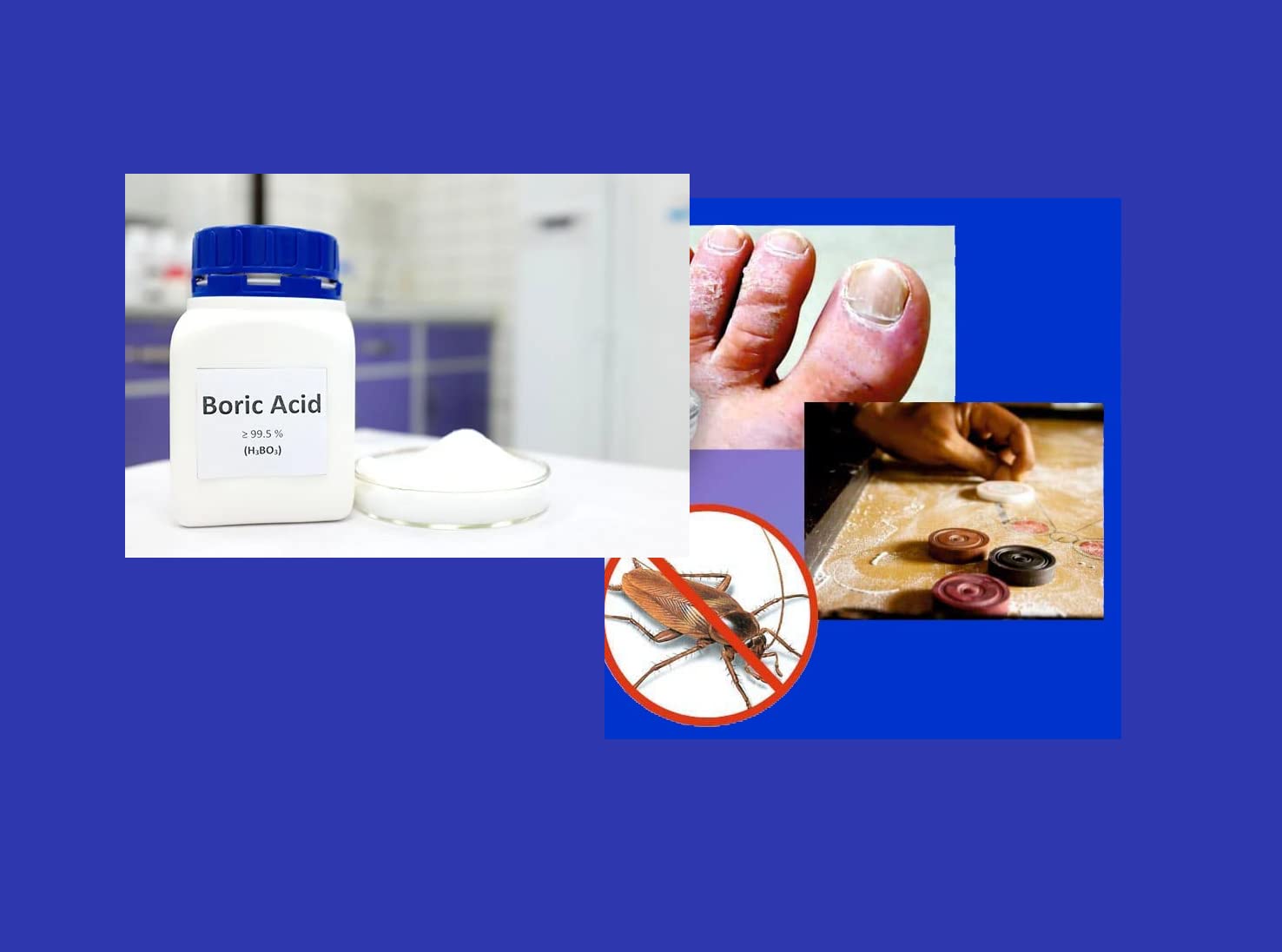 advancedestore Boric Powder Killing Cockroaches Antiseptic Multipurpose Carrom Powder - (White) (100gm)