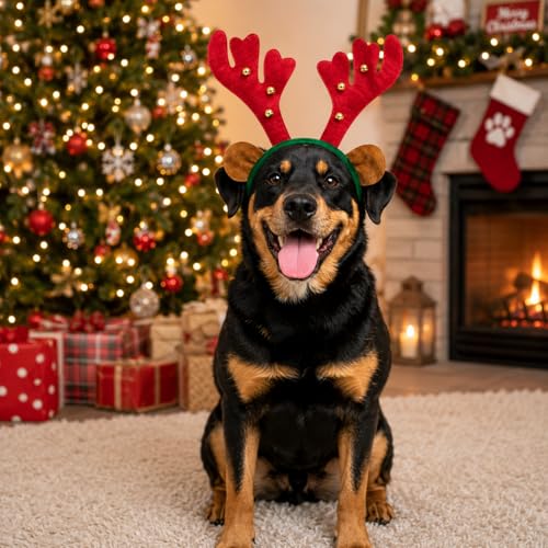 Disfraz Navidad para Perros Medium-Large Cuernos Reno miniatura 6
