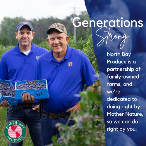 North Bay Produce - Dried Blueberries - Gluten Free, Vegan - Healthy Snacks For Kids And Adults - Resealable Bag, 5Oz #TOP2