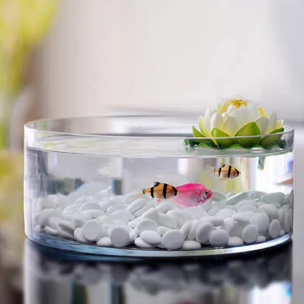 Artibetter Terrario de Cristal Transparente Redondo Jarrón de Vidrio para Planta Jardinera Hidroponía Acuario Decorativo Soporte De Almacenamiento Para Hogar Oficina Regalo 5.91 X 5.91 X 3.15 in