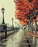 Colour Talk DIY Oil Painting, Paint by Number kit- Romantic Love Autumn 16x20 inch