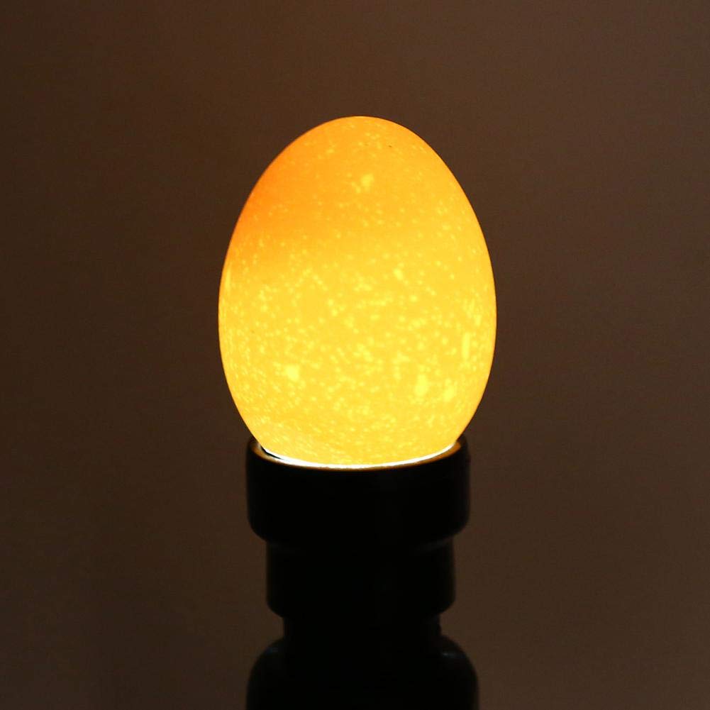 Egg Tester - Testeur d'oeufs Candler Mire œuf Lumineux Cool LED Portable pour Surveillance Incubateur d'oeufs
