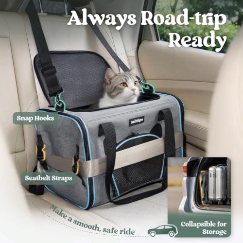 Image of rabbitgoo Cat Carrier Soft Sided, Stable Portable Pet Carrier with Safety Buckles for Car Travel Vet Visit Airline, Comfortable Breathable Kitten Bag for Small Medium Cat, Grey, 17x11x11 inch