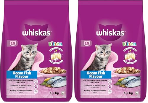 Image of Whiskas Junior Mother Cat & Kitten (2-12 Months) Dry Cat Food, Ocean Fish Flavour, 6.5 kg, Contains 41 Essential Nutrients, Complete & Balanced Nutrition for Mother Cats & Kittens (Pack of 2)