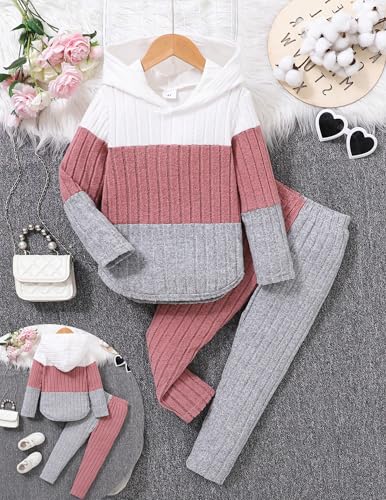 Girls Clothes Fall Girl Outfits 2Pcs Hoodie Pullover Sweatshirt+Pant+Leggings Winter Set for Size 4-8 Years Little Girls - Image 3