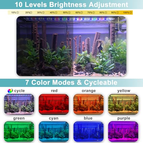 Lampe d'aquarium à DEL étanche pour stabiliser le cycle de vie