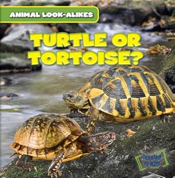Paperback Turtle or Tortoise? Book