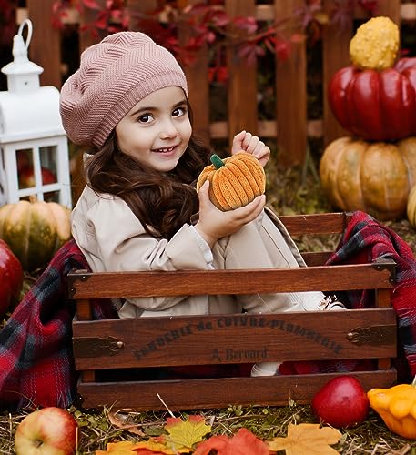 DolliBu-Large-Pumpkin-Plush-Spooky-Plush-Pumpkin-Toy-for-Teddy-Bear-Stuffed-Animal-Cute-Halloween-Decor-Party-Favor-and-Crafts-Thanksgiving-Mini-Pumpkin-Plush-Toy-4-Inch DolliBu Large Pumpkin Plush Spooky Plush Pumpkin Toy for Teddy Bear Stuffed Animal Cute Halloween Decor Party Favor and Crafts Thanksgiving Mini Pumpkin Plush Toy 4 Inch