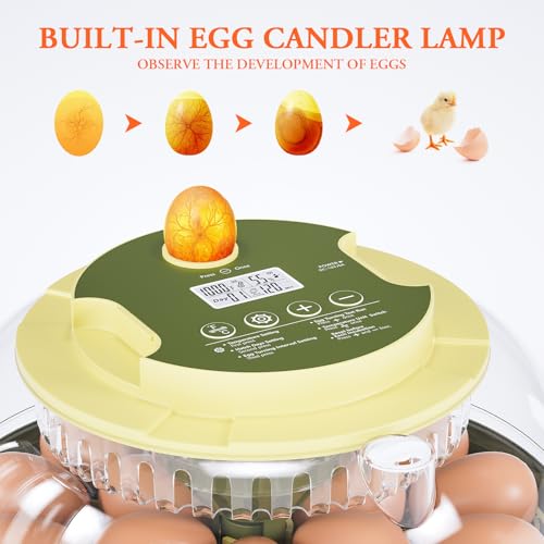 Egg Incubator for Hatching Eggs,Automatic Egg Turning and Humidity Control,Incubators for Chicken, Ducks, Goose, Pigeon, Quail, Parrot Incubator for Farm, Lab, Science Classroom, Home -18 Egg Capacity - Image 5