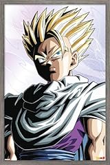 Barnwood Framed Version