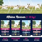 Eukanuba Premium Hundefutter für Welpen kleiner Rassen - 5