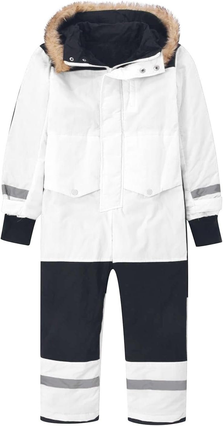 デヴィッド・シーモア ピカソ ゲルニカ 1937ポスター E2(Earth