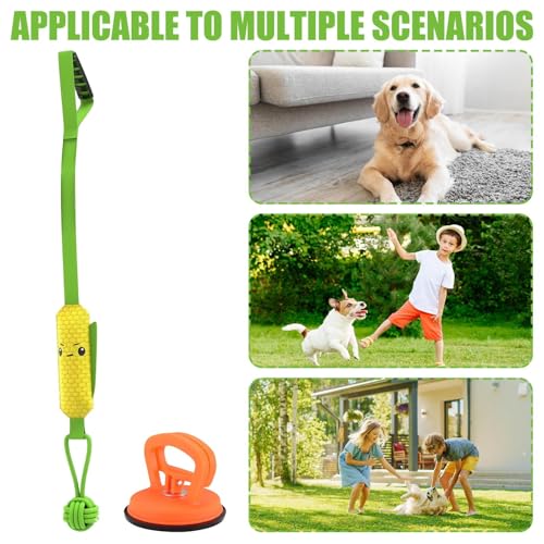 Jouet interactif pour chien balle sonore occupation intérieur - 5